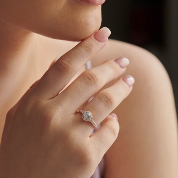 FR568-2.jpg | foroworld | foroworld