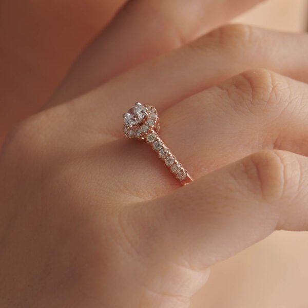 FR568-3.jpg | foroworld | foroworld