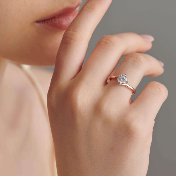 FR575-2.jpg | foroworld | foroworld