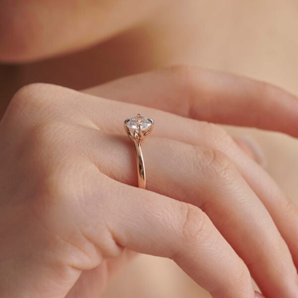 FR575-3.jpg | foroworld | foroworld