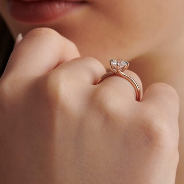 FR575-4.jpg | foroworld | foroworld