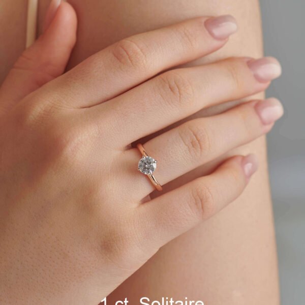 FR575-5.jpg | foroworld | foroworld