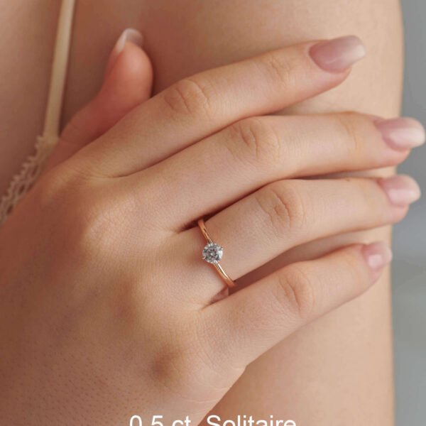 FR575-6.jpg | foroworld | foroworld