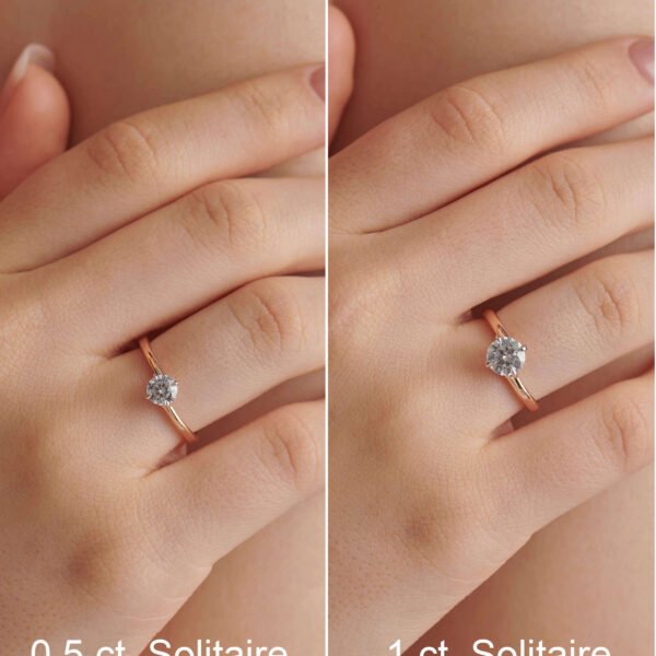 FR575-7.jpg | foroworld | foroworld