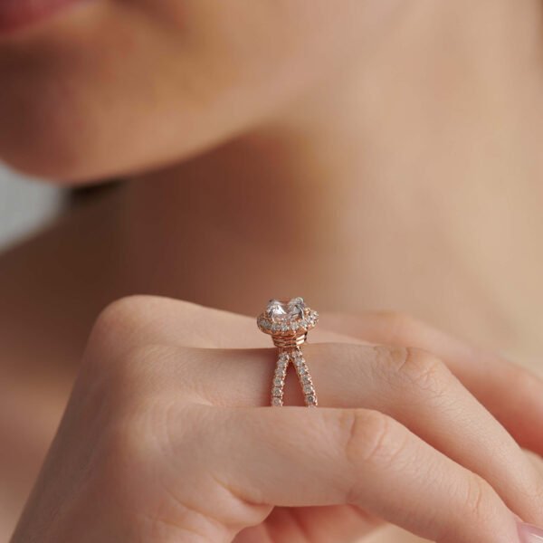 FR593-3.jpg | foroworld | foroworld