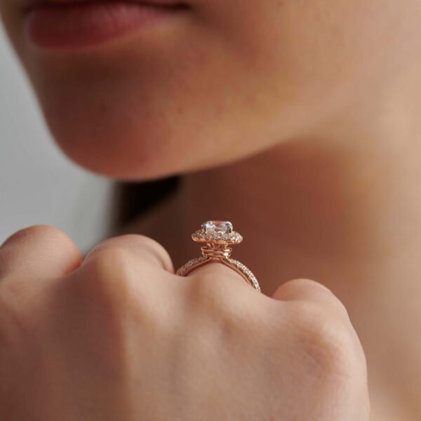 FR593-4.jpg | foroworld | foroworld