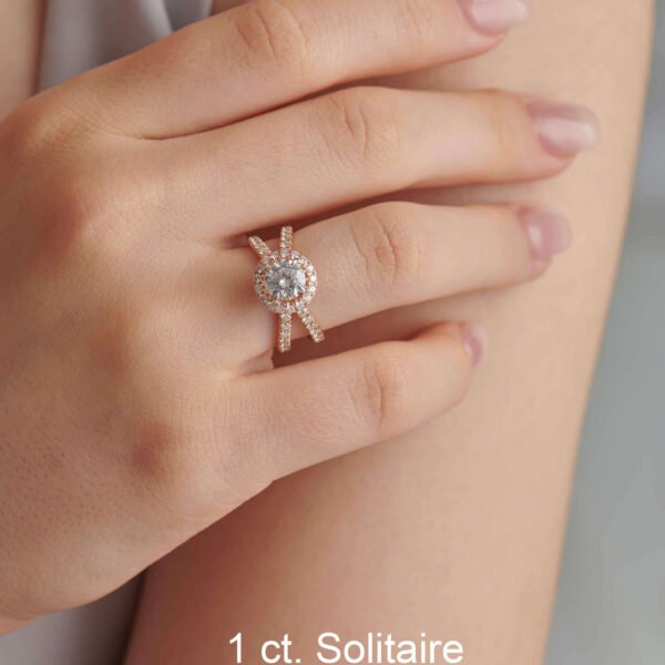 FR593-5.jpg | foroworld | foroworld