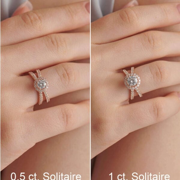 FR593-7.jpg | foroworld | foroworld