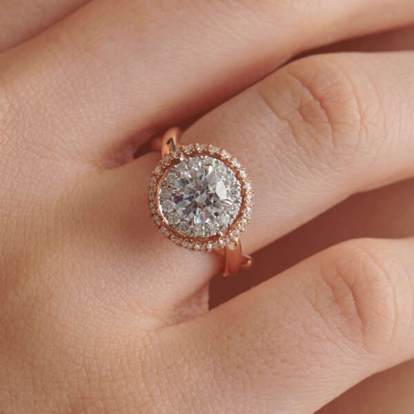 FR601-1.jpg | foroworld | foroworld