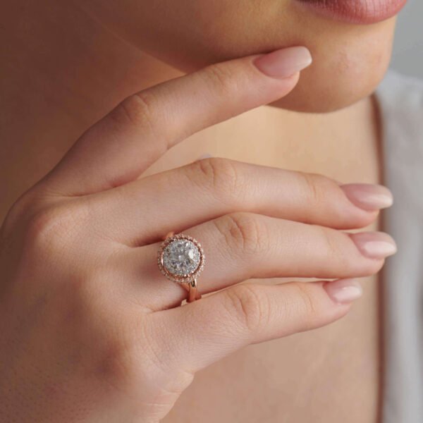 FR601-2.jpg | foroworld | foroworld