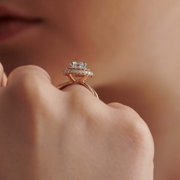 FR601-4.jpg | foroworld | foroworld