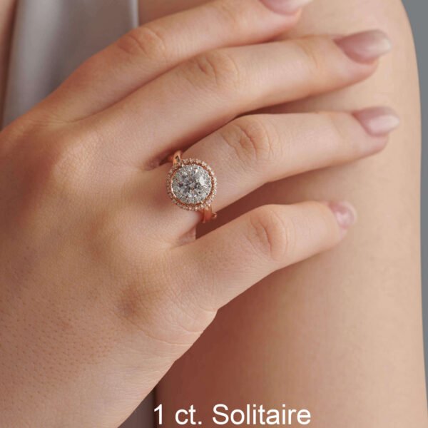 FR601-5.jpg | foroworld | foroworld