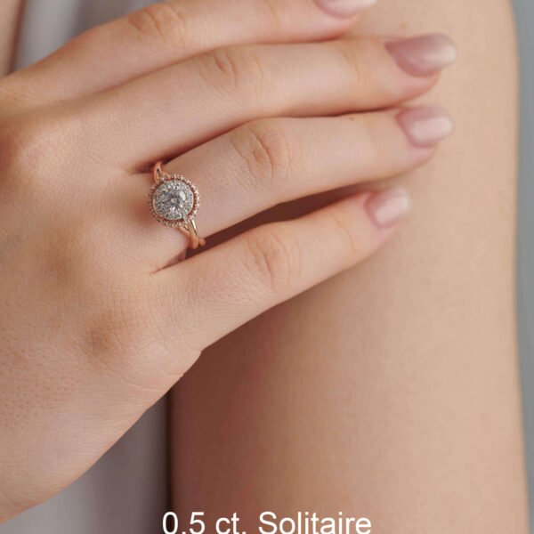 FR601-6.jpg | foroworld | foroworld