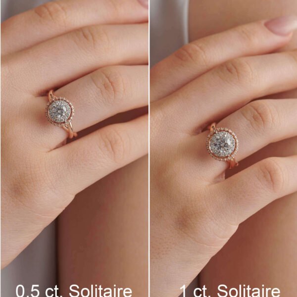 FR601-7.jpg | foroworld | foroworld