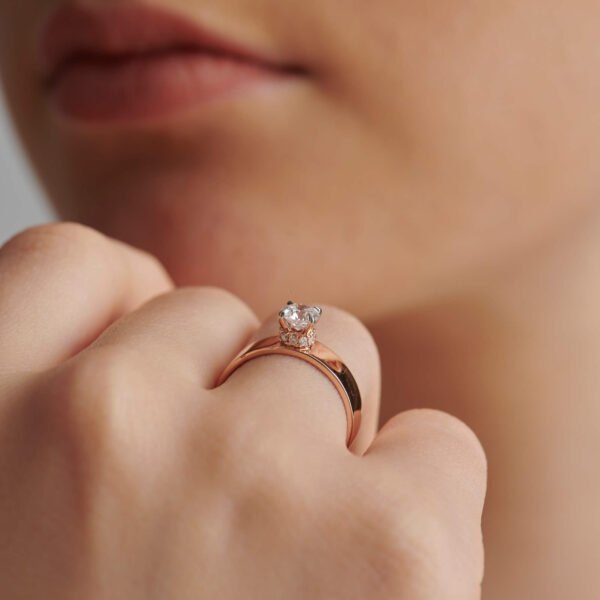 FR703-3.jpg | foroworld | foroworld