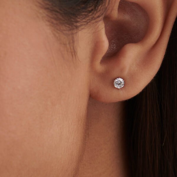 LGFE498-1.jpg | foroworld | foroworld